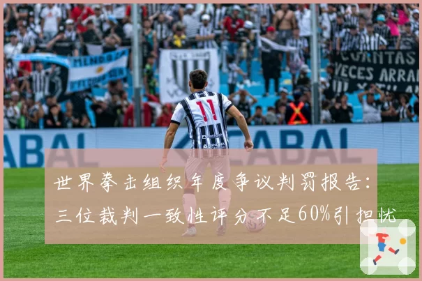 世界拳击组织年度争议判罚报告：三位裁判一致性评分不足60%引担忧