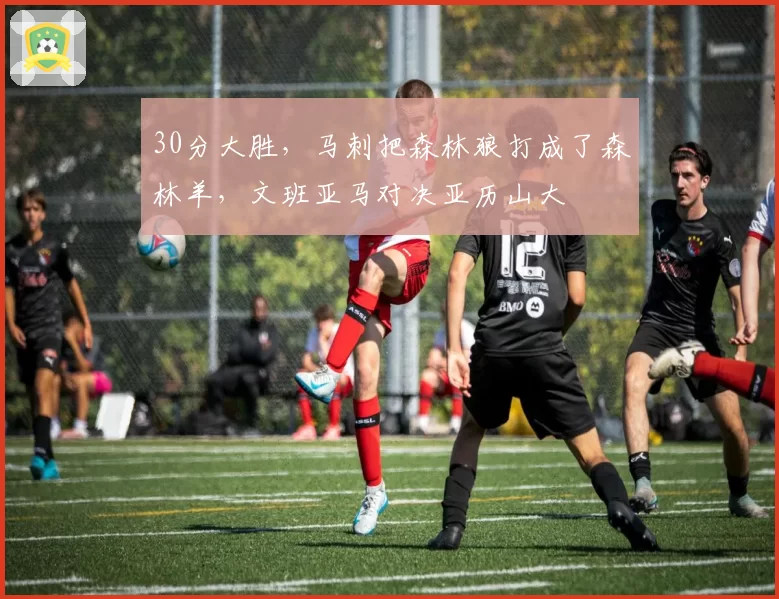 30分大胜,马刺把森林狼打成了森林羊,文班亚马对决亚历山大
