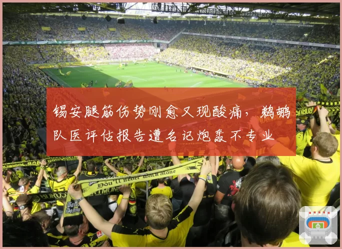 锡安腿筋伤势刚愈又现酸痛，鹈鹕队医评估报告遭名记炮轰不专业